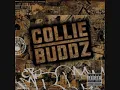 Collie Buddz - Tomorrows Another Day