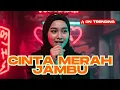 Download Lagu Cinta Merah Jambu - Rap Hijab Viral Tiktok