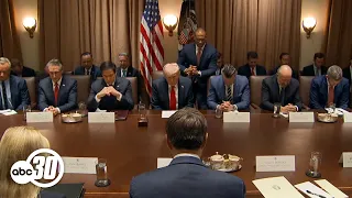 President Trump holds 1st Cabinet meeting; Elon Musk is there, too