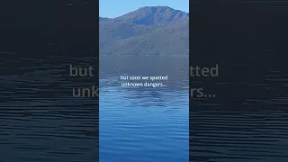 Unexpected DANGERS today 😮 #sailing