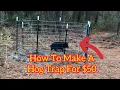 How to make a hog trap for 50