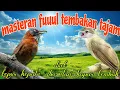 Lagu Kapas tembak dan Tepus kepala abu 🔥🔥 fuuul tembakan mahal