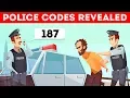 What Do Police Codes Mean