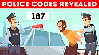 What Do Police Codes Mean