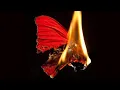 Download Lagu YAK GEL! - FUNDA ARAR 