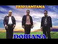 Download Lagu Trio Lamtama - Doriana ( Official Music Video )