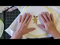 Stamping and Painting fabric with Aunt Martha s Ball Point Paint