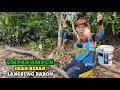 Download Lagu Mancing Ikan Besar Dan Cara Ikat Seling/Neklin Kuat Anti Gagal