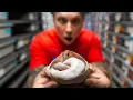 WORLDS FIRST SNAKE HATCHING INCREDIBLE BALL PYTHONS BRIAN BARCZYK
