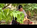 A Beautiful Day in IRAN Village Life | Cooking with Fresh Pomegranates & Walnuts