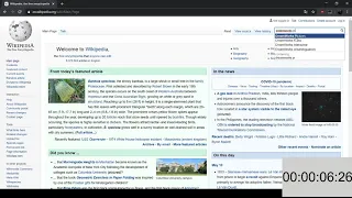 Wikipedia Shrek PB WR 00 10 28