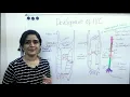 Development of IVC Inferior Vena cava - Posterior cardinal Subcardinal Supra cardinal veins
