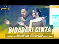 Download Lagu BIDADARI CINTA - IRWAN DA FT TIARA AMORA || SIMPATIK MUSIK LIVE REUNI AKBAR NCL CREW MADURA 2025