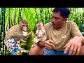 Download Lagu Sơn, BiBi and BR eat sugarcane and fix the broken roof together.