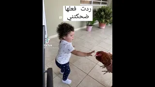 تكتوك اطفال مضحكة 