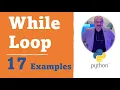 Python While Loop 17 Examples - Spring 2024