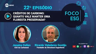 Créditos de carbono: quanto vale manter uma floresta preservada? | Foco ESG #22