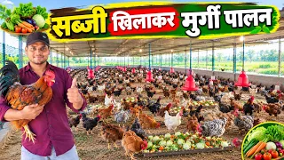 4000 मुर्गियों से ₹2 लाख Profit | Desi Poultry Farming का पूरा सच