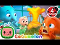 Floor is Lava 🌋 | NEW🔥Cocomelon - Nursery Rhymes | Fun Cartoons For Kids