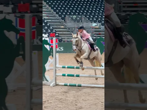 ONE BIG EXPERIENCE👏🏻 #shortsvideo #horse #fyp
