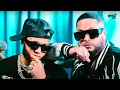 Download Lagu Tempo x El Alfa - Happy Birthday [Official Video]
