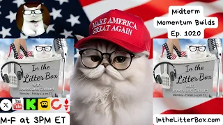 Midterm Momentum Builds In the Litter Box w Jewels Jones Catturd - Ep 1020 2026