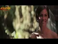 محمد الفارس - الزفة (وداعاً للعزوبية) | حصريا