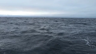 The Intrepid | Pushing Northwest : Episode 04 : Santa Barbara to Monterey