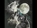 The Quad M Show - Three Wolf Moon T-shirt Amazon Review