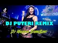 Download Lagu DJ MALAYSIA | PUTERI (REMIX)