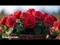 Download Lagu Самая волшебная мелодия в мире🌺Вы захотите слушать ее вечно🌿Мелодии Сергея Грищука #2