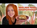 Download Lagu MAISEMAKAHVILAN RAPARPERIPIIRAKKA