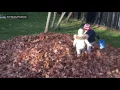 Tom Brady surprises his kids dressed as a Turkey