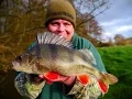Lagu Perch Fishing On Bobbers (Video 105)