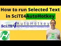 How to run Selected Text in SciTE Level-up your coding