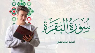 Surah Al Baqarah Ahmed Alshafey سورة البقرة كاملة القارئ أحمد الشافعي 