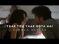 Download Lagu Yaar Tou Yaar Hota Hai | Slowed Reverb
