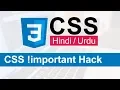 CSS important Hack Tutorial in Hindi Urdu