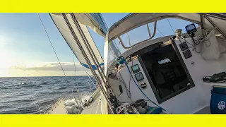 Paradise Birds, Sailing & SUP’s. Solo Sailing Indonesia (Learning By Doing Ep 103)