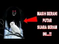 Download Lagu Satu Jam Suara Kuntilanak Ketawa Dan Burung Hantu !!! Penakut Dilarang Nonton !!!