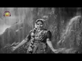 Download Lagu Chitapata Chinukulu Songs | Chitapata Chinukulu Full Video Song | Aatma Balam Telugu Movie | ANR