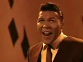 Download Lagu Jive  Bunny  And  The  Mastermixers   --   That's   What   I   Like  Video  HQ