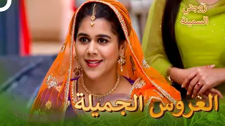 فستان كومال نال إعجاب الجميع زوجتي السمينة الفصل 19  فستان كومال نال إعجاب الجميع زوجتي السمينة الفصل 19