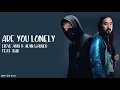 Are You Lonely - Steve Aoki & Alan Walker Feat. ISAK (Lyrics)