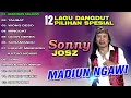 12 Lagu Dangdut Pilihan Spesial Sonny Josz | Madiun Ngawi | Taubat | Wong Deso