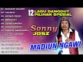 12 Lagu Dangdut Pilihan Spesial Sonny Josz | Madiun Ngawi | Taubat | Wong Deso