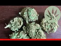 Voodoo - All About This Strain