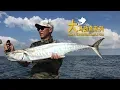 Download Lagu NO.177 SPEED JIGGING FOR MACKEREL
