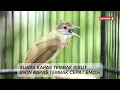 Download Lagu SUARA KAPAS TEMBAK RIBUT - BIKIN CEPAT EMOSI