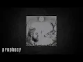 Download Lagu Fauna - Tracking